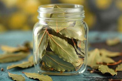 Les raisons surprenantes pour lesquelles les feuilles de laurier mouillées sont essentielles dans votre cuisine